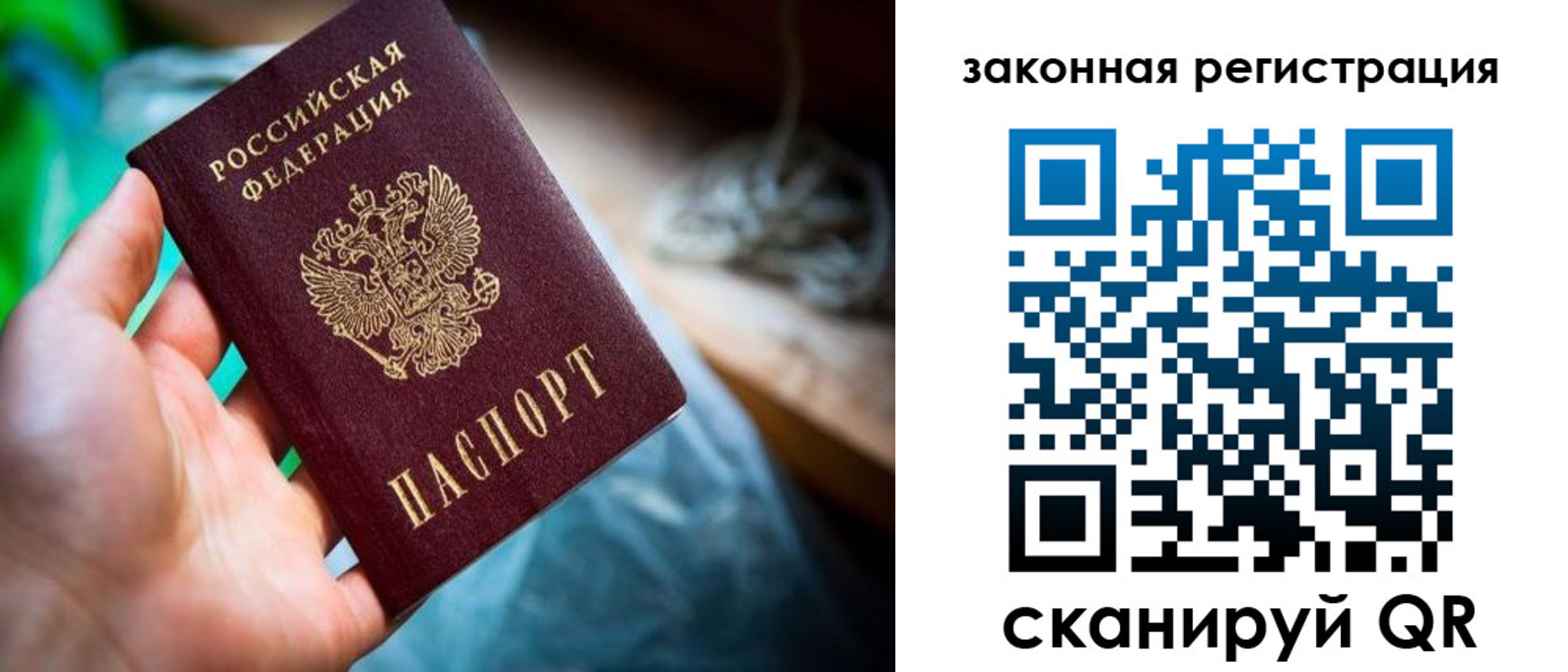 прописка в Коркино